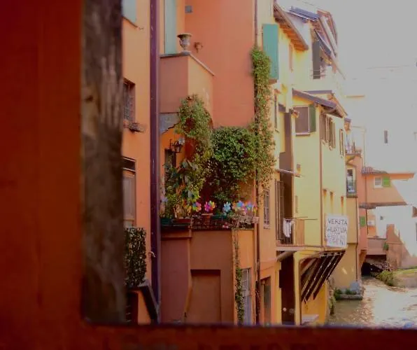 My In - La Rossa Bolonia